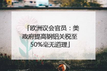欧洲议会官员：美政府提高钢铝关税至50%毫无道理