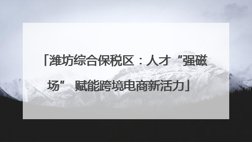 潍坊综合保税区：人才“强磁场” 赋能跨境电商新活力