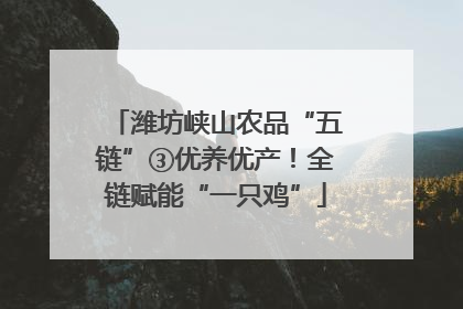 潍坊峡山农品“五链”③优养优产！全链赋能“一只鸡”