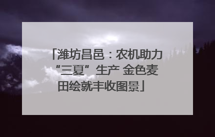 潍坊昌邑：农机助力“三夏”生产 金色麦田绘就丰收图景