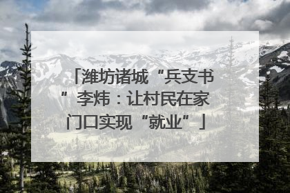 潍坊诸城“兵支书”李炜：让村民在家门口实现“就业”