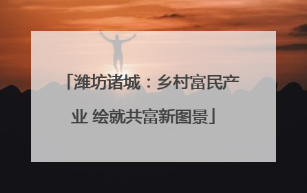 潍坊诸城：乡村富民产业 绘就共富新图景