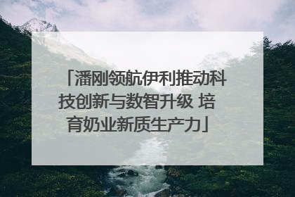 潘刚领航伊利推动科技创新与数智升级 培育奶业新质生产力