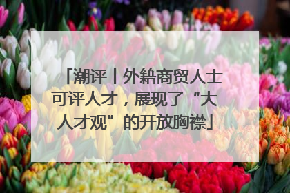 潮评丨外籍商贸人士可评人才，展现了“大人才观”的开放胸襟
