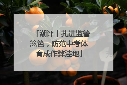 潮评丨扎进监管篱笆，防范中考体育成作弊洼地
