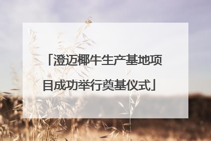 澄迈椰牛生产基地项目成功举行奠基仪式