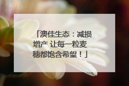 澳佳生态：减损增产 让每一粒麦穗都饱含希望！