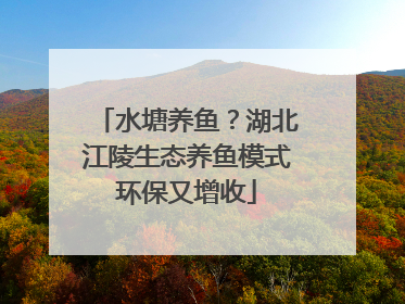 水塘养鱼？湖北江陵生态养鱼模式环保又增收