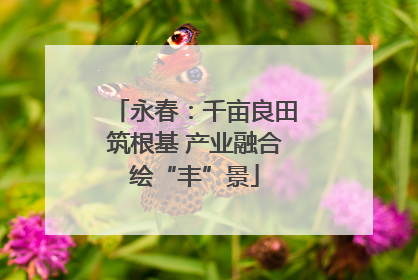 永春：千亩良田筑根基 产业融合绘“丰”景