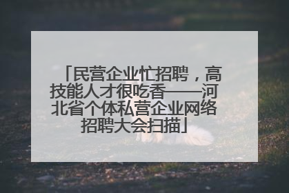 民营企业忙招聘，高技能人才很吃香——河北省个体私营企业网络招聘大会扫描