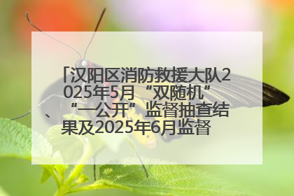 汉阳区消防救援大队2025年5月“双随机”、“一公开”监督抽查结果及2025年6月监督抽查任务公示