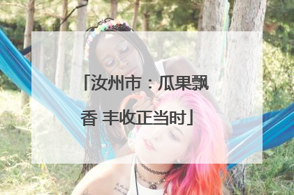 汝州市：瓜果飘香 丰收正当时