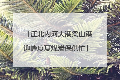 江北内河大港梁山港迎峰度夏煤炭保供忙