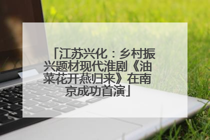 江苏兴化：乡村振兴题材现代淮剧《油菜花开燕归来》在南京成功首演