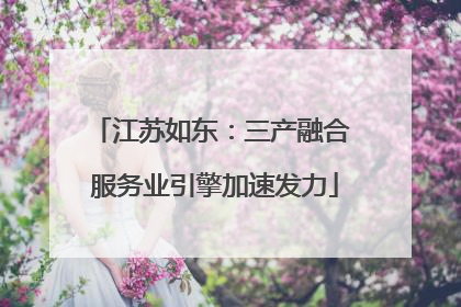 江苏如东：三产融合 服务业引擎加速发力