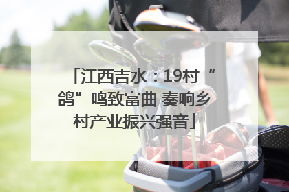 江西吉水：19村“鸽”鸣致富曲 奏响乡村产业振兴强音