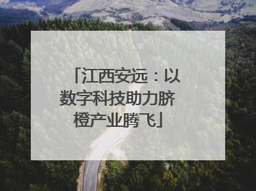江西安远：以数字科技助力脐橙产业腾飞