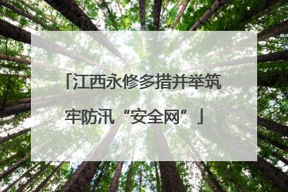 江西永修多措并举筑牢防汛“安全网”