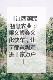 江西颐民智慧农业：乘文博会文化快车，让宁都黄鸡走进千家万户