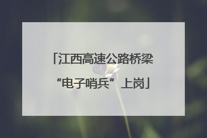 江西高速公路桥梁“电子哨兵”上岗
