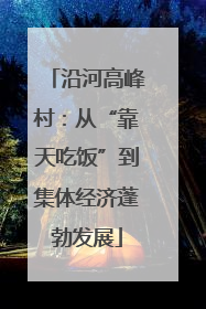 沿河高峰村：从“靠天吃饭”到集体经济蓬勃发展