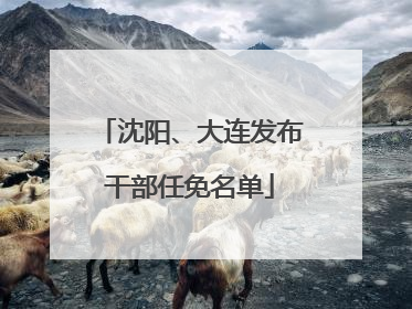 沈阳、大连发布干部任免名单