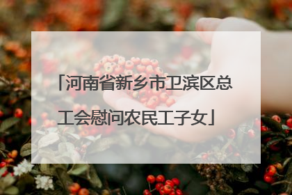 河南省新乡市卫滨区总工会慰问农民工子女