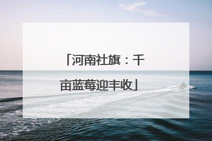 河南社旗：千亩蓝莓迎丰收