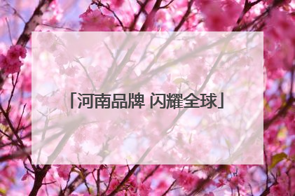 河南品牌 闪耀全球