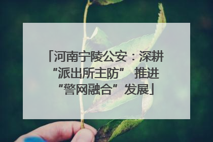 河南宁陵公安：深耕“派出所主防” 推进“警网融合”发展