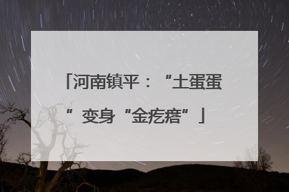 河南镇平：“土蛋蛋”变身“金疙瘩”