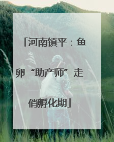河南镇平：鱼卵“助产师”走俏孵化期