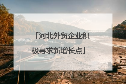 河北外贸企业积极寻求新增长点