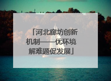 河北廊坊创新机制——优环境解难题促发展