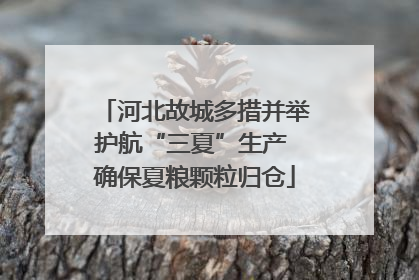 河北故城多措并举护航“三夏”生产 确保夏粮颗粒归仓