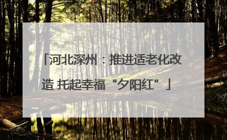 河北深州：推进适老化改造 托起幸福“夕阳红”