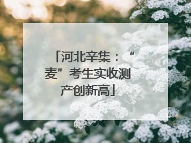 河北辛集：“麦”考生实收测产创新高