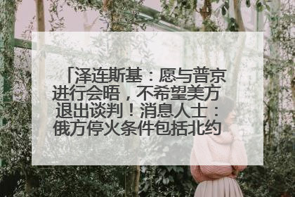 泽连斯基：愿与普京进行会晤，不希望美方退出谈判！消息人士：俄方停火条件包括北约“书面”保证不东扩