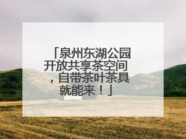 泉州东湖公园开放共享茶空间，自带茶叶茶具就能来！