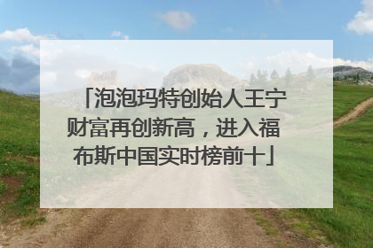 泡泡玛特创始人王宁财富再创新高，进入福布斯中国实时榜前十