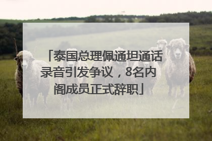 泰国总理佩通坦通话录音引发争议，8名内阁成员正式辞职