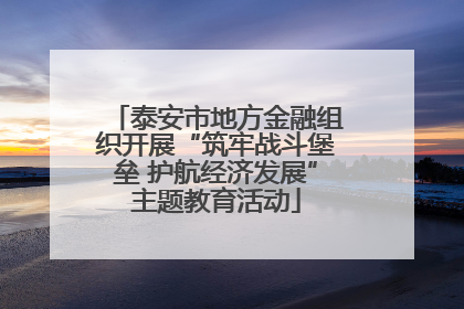 泰安市地方金融组织开展“筑牢战斗堡垒 护航经济发展”主题教育活动