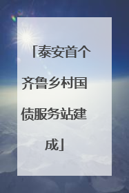 泰安首个齐鲁乡村国债服务站建成