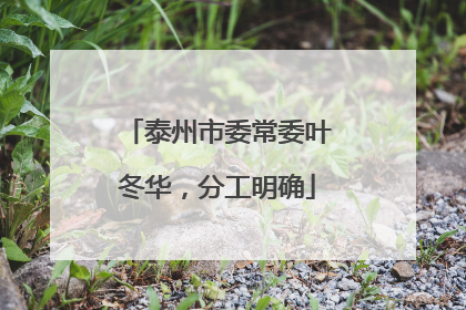 泰州市委常委叶冬华，分工明确