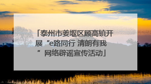 泰州市姜堰区顾高镇开展“e路同行 清朗有我”网络辟谣宣传活动
