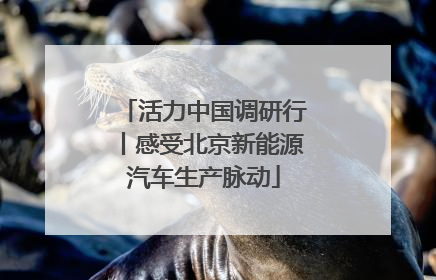 活力中国调研行丨感受北京新能源汽车生产脉动