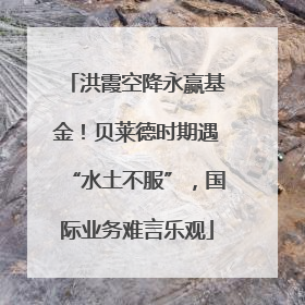 洪霞空降永赢基金！贝莱德时期遇“水土不服”，国际业务难言乐观