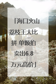 海口火山荔枝王大比拼 单颗拍卖出6.8万元高价