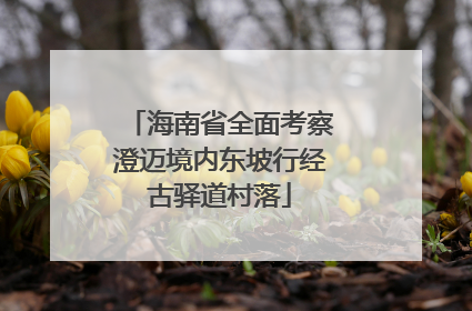 海南省全面考察澄迈境内东坡行经古驿道村落