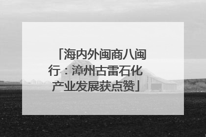 海内外闽商八闽行：漳州古雷石化产业发展获点赞
